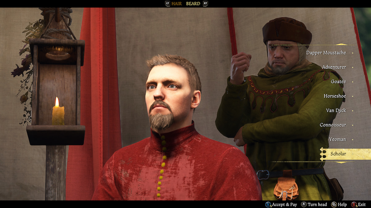 Henry's Scholar beard