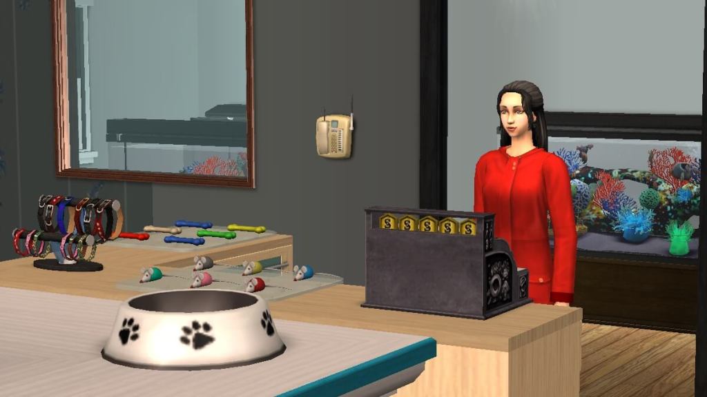 Sims 2 screenshot of a Sim at a cash register in a pet shop.