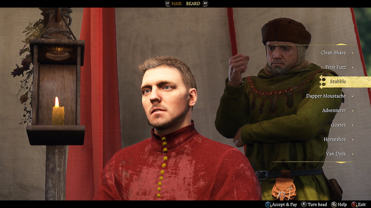 Henry's Stubble beard