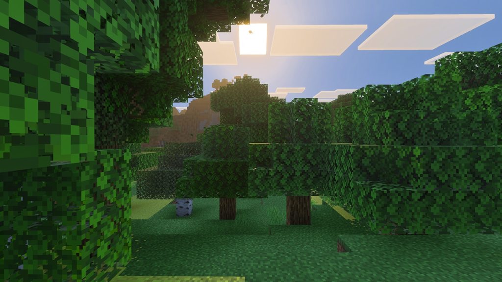 A forest in Minecraft