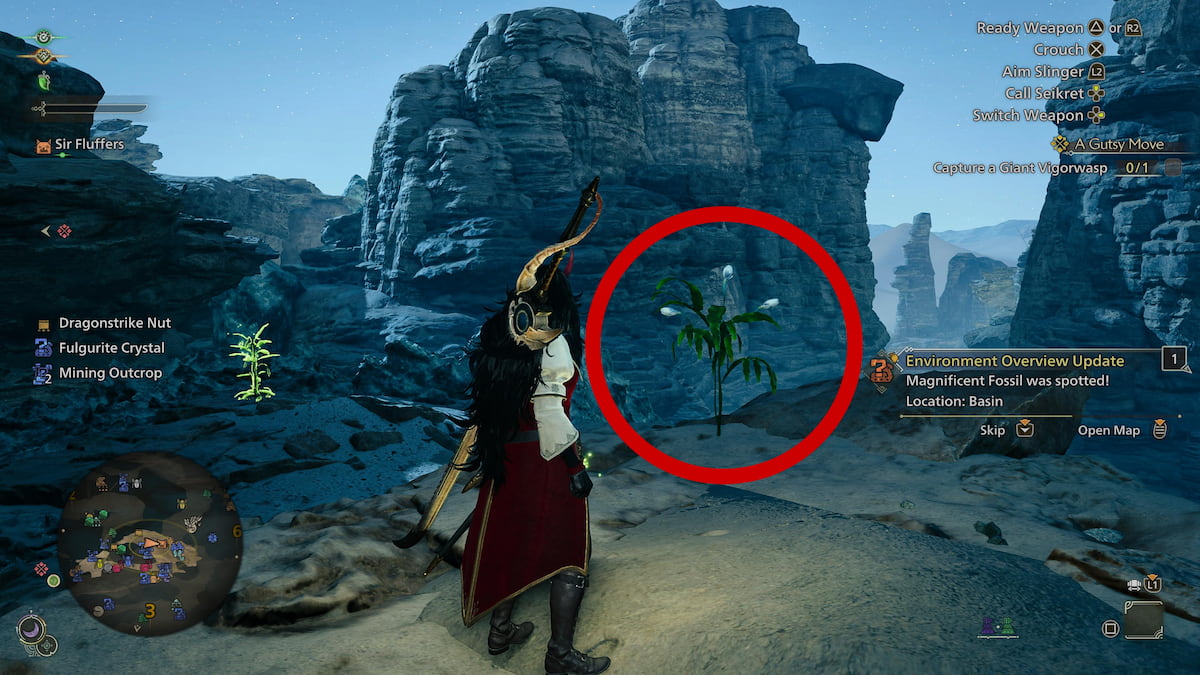 Nightflower Pollen at Area 3 Windward Plains