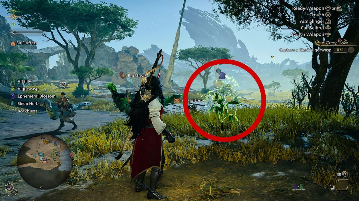 Nightflower Pollen at Windward Plains Area 10