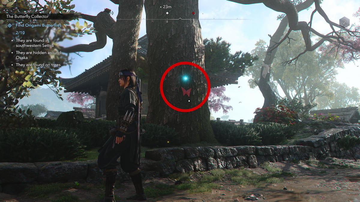 Red Butterfly on a tree