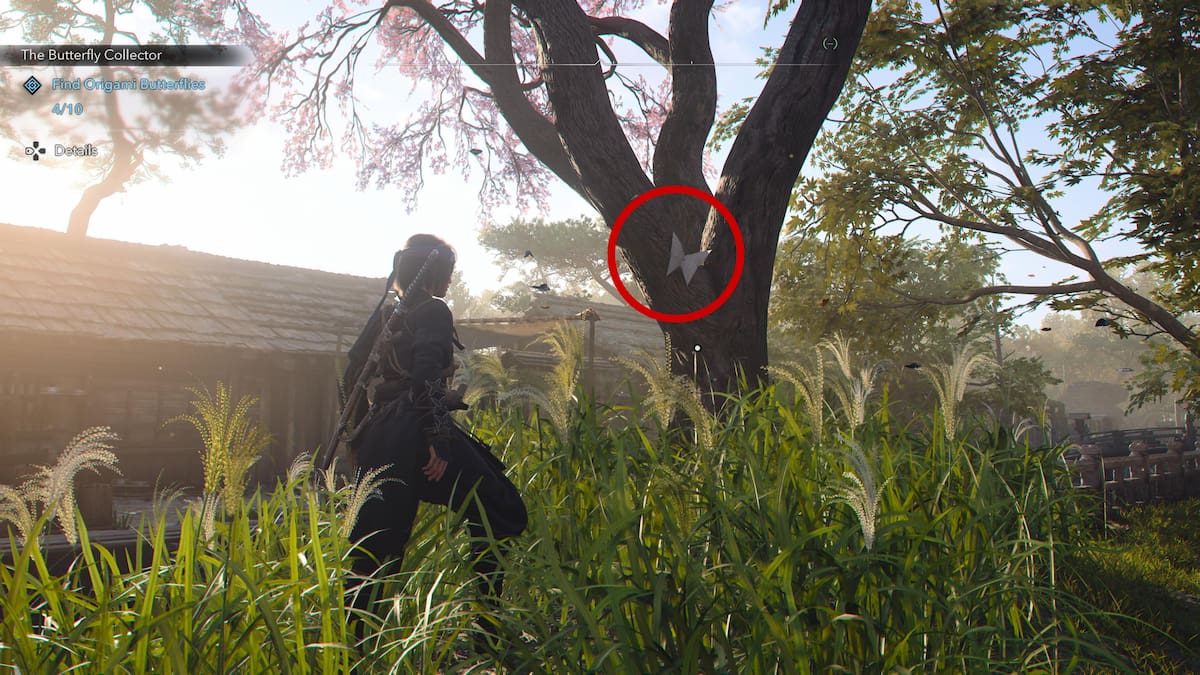 Secret Origami Letter from Richo butterfly on tree