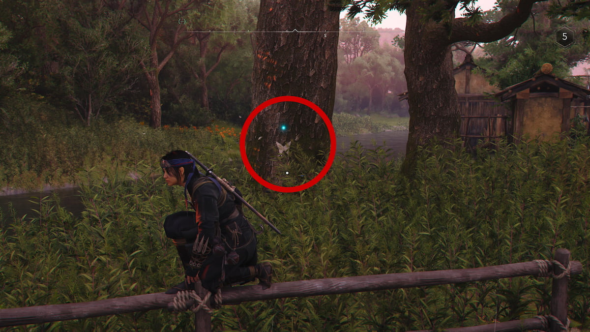 Secret Origami Letter from Shucho on tree