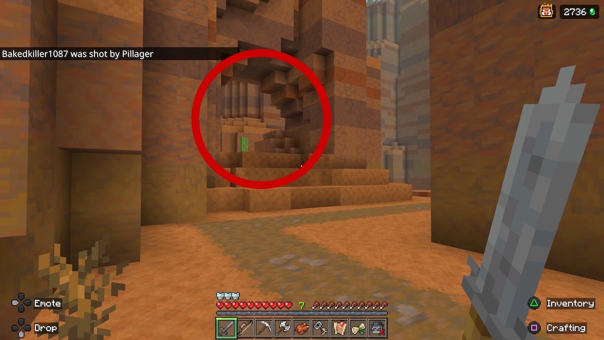 Opening with cactus in Wilderness