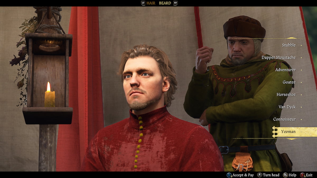 Henry's Yeoman beard