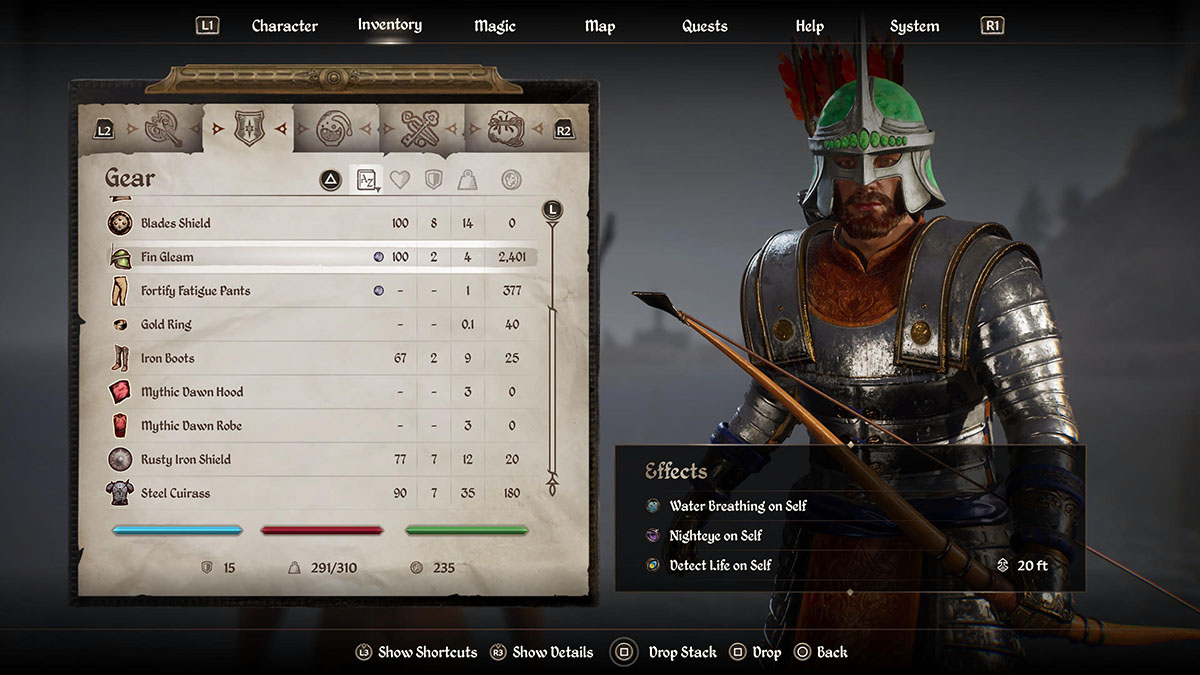 The Hero wearing the Fin Gleam Helm.