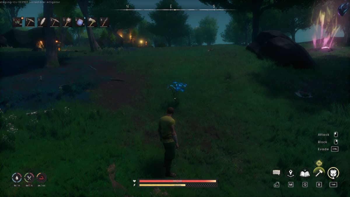 Flax in RuneScape Dragonwilds