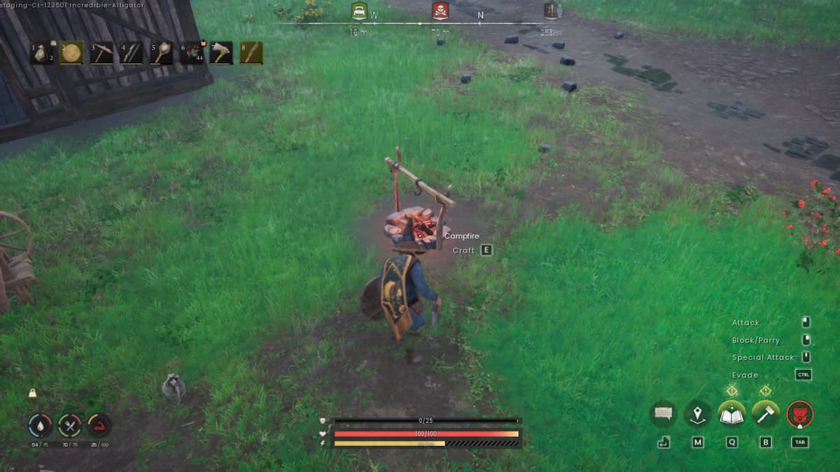 Campfire in RuneScape Dragonwilds