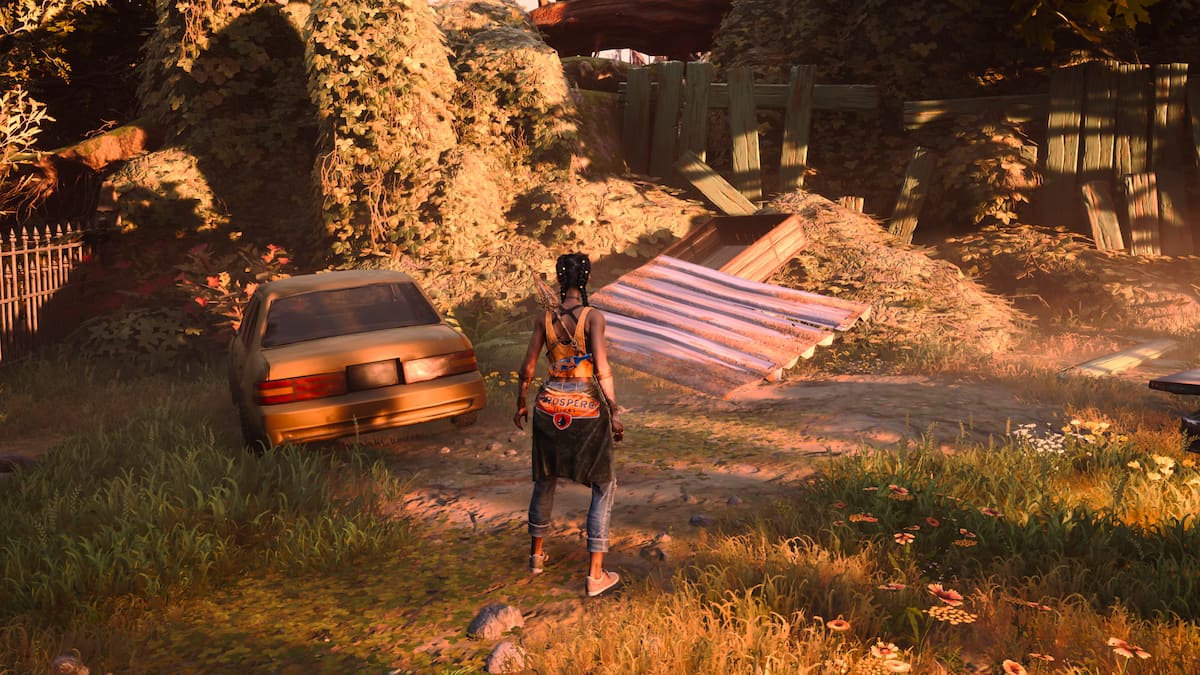 Tin Flip area in South of Midnight