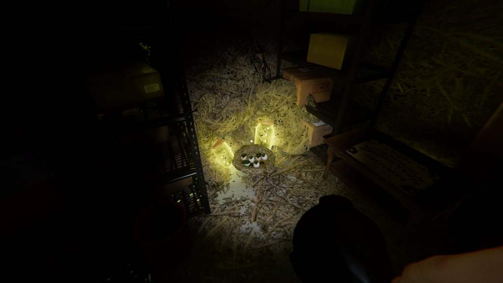 A Forest Minion nest in the basement at 6 Tanglewood Drive in Phasmophobia