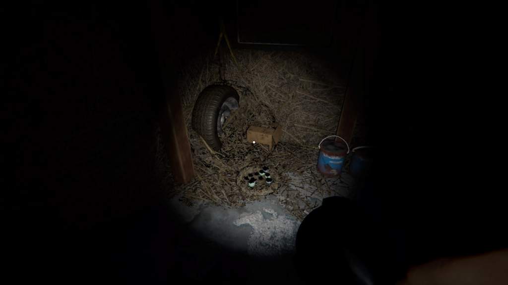 A Forest Minion nest in the basement at 6 Tanglewood Drive in Phasmophobia