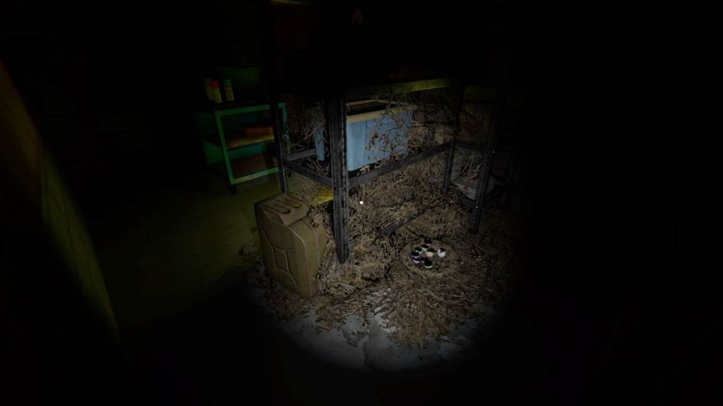 Forest Minion nest behind shelves at 13 Willow Street in Phasmophobia