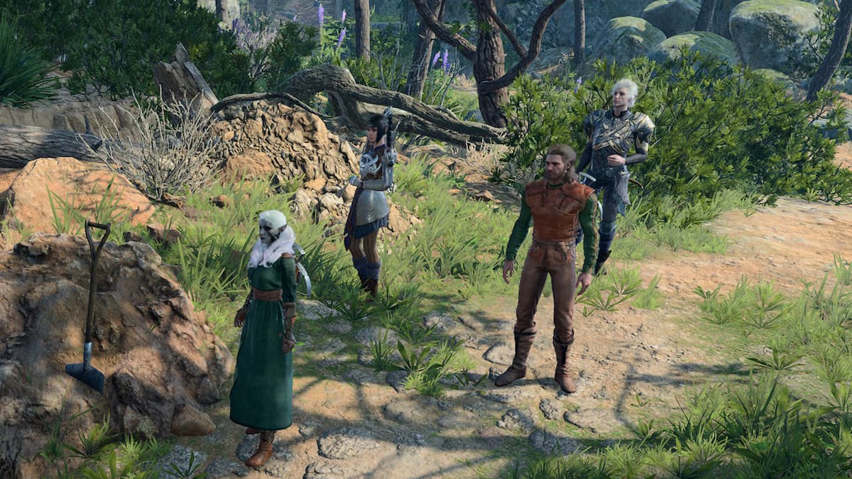 Baldur's Gate 3 characters