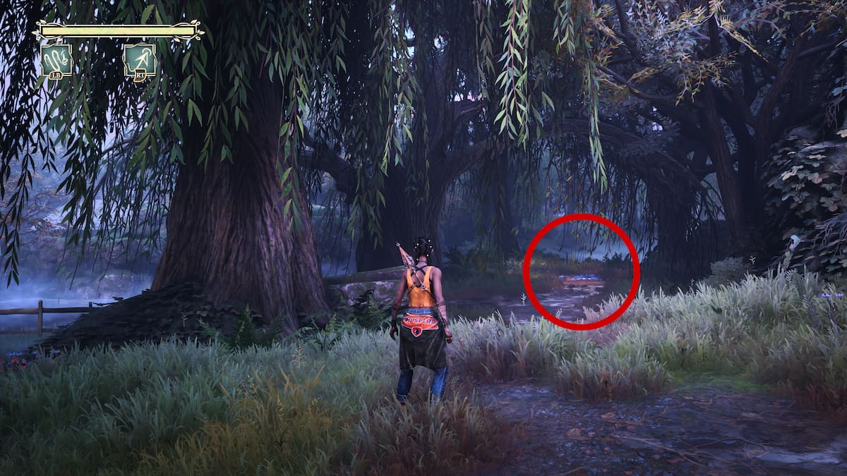 Tin Flip near big tree