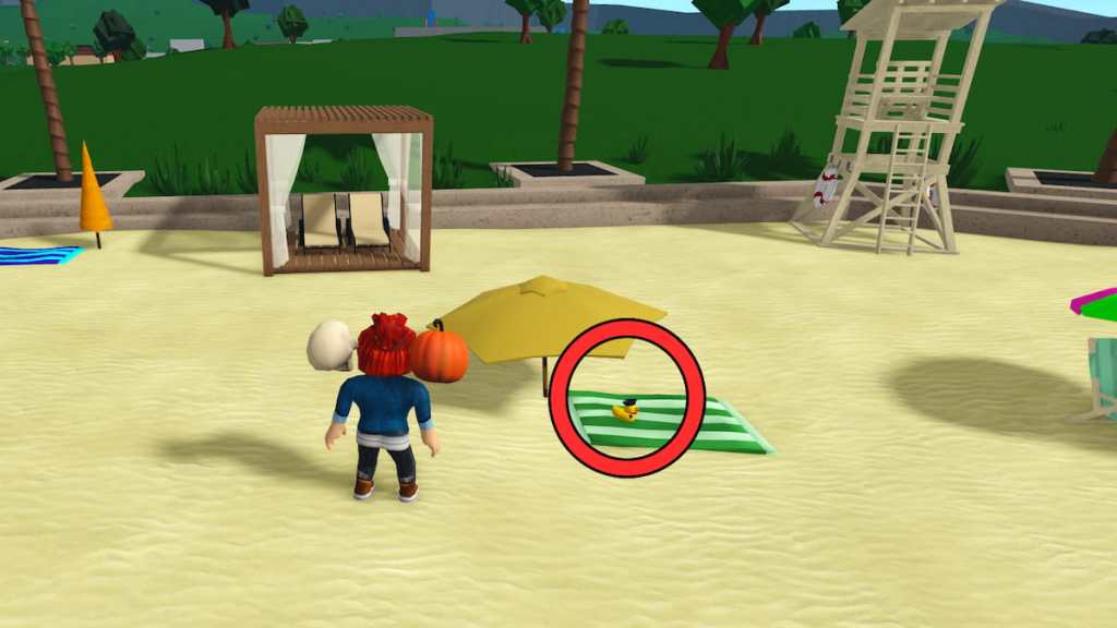 Bloxburg pirate duck