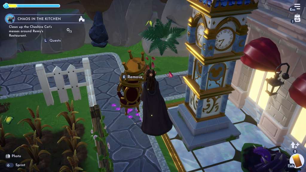 A mess left behind by the cheshire cat outside chez remy in ddv