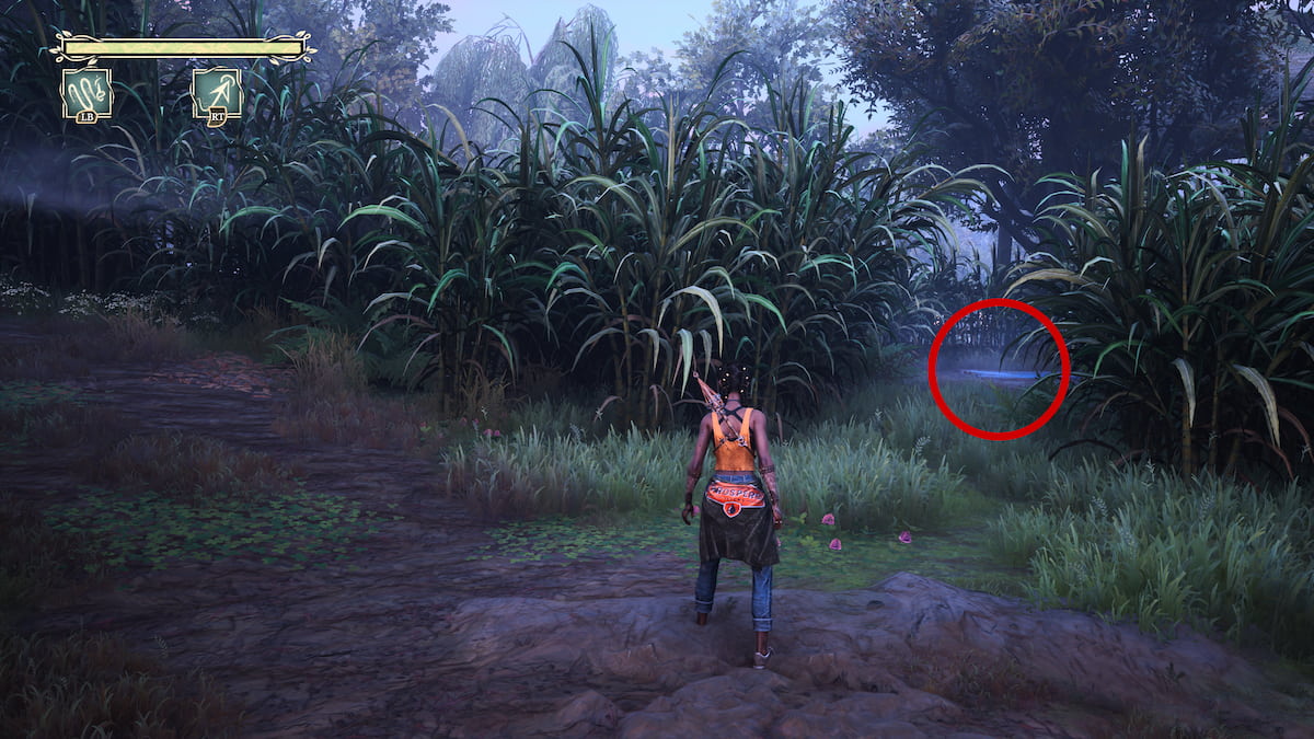 Tin Flip hidden in greenery