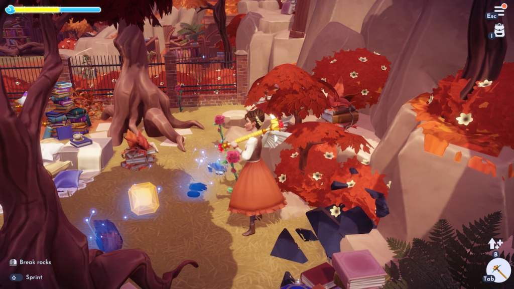 A Gem on the ground in DDV