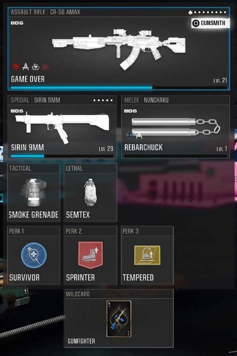 AMAX loadout for Warzone BO6