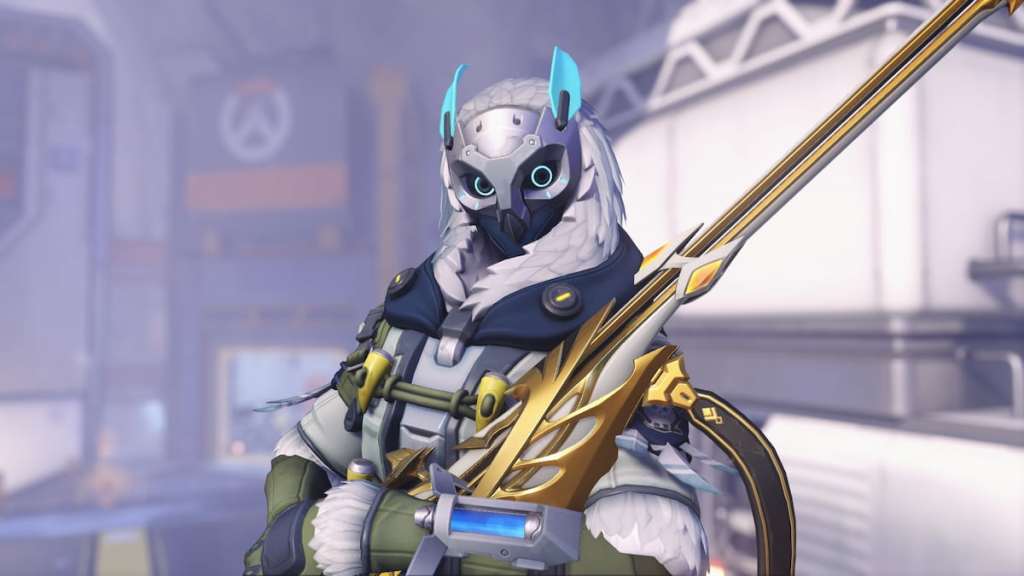 Ana OW2 owl skin