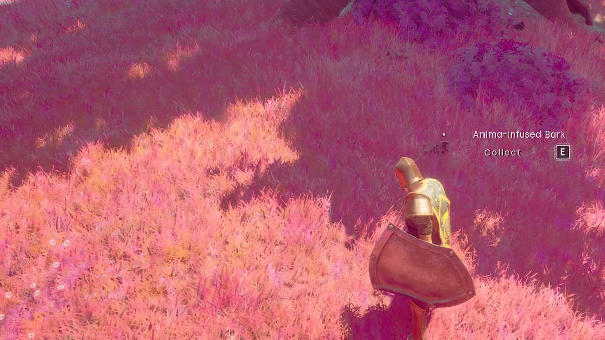 Anima-Infused branches in RuneScapes Dragonwild