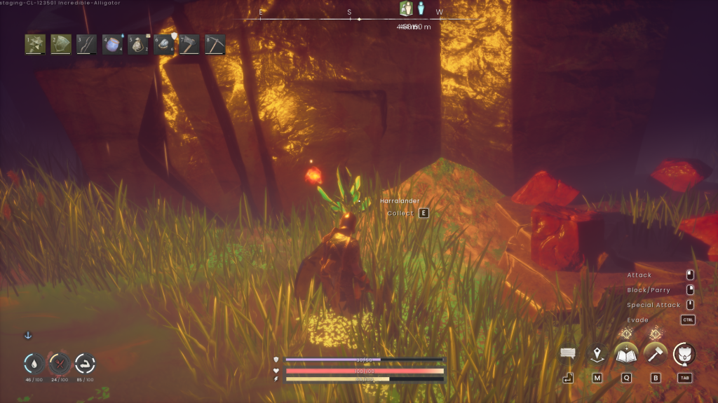 harralander hiding by some rocks in the swamp