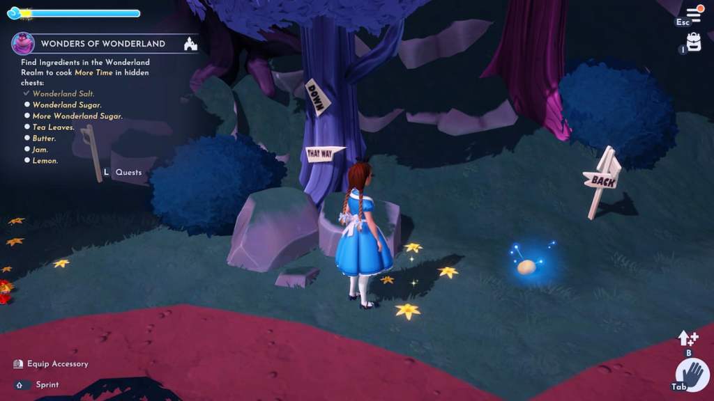 lemon on the ground in DDV