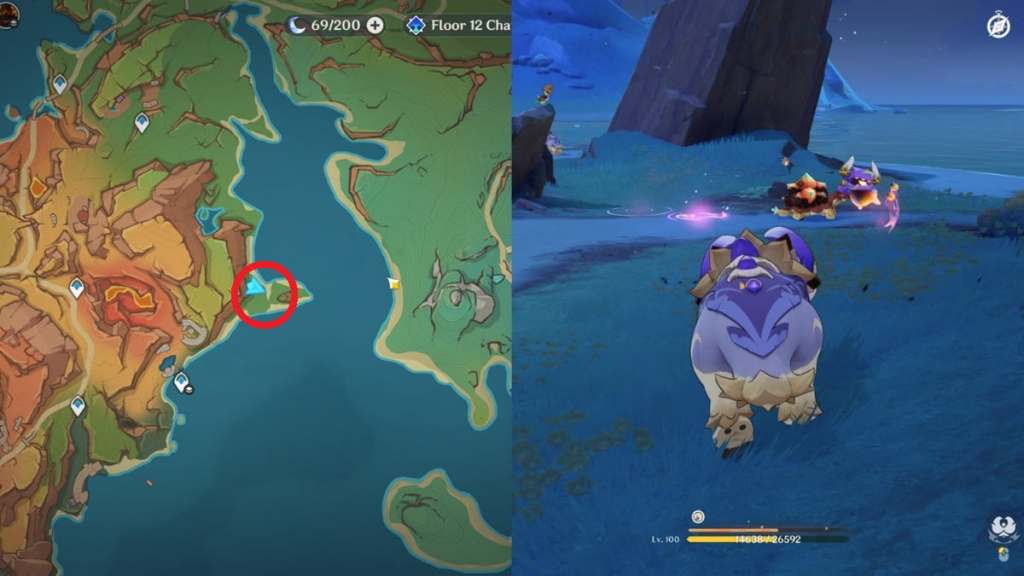 monetoo and red torotise on eastern beach