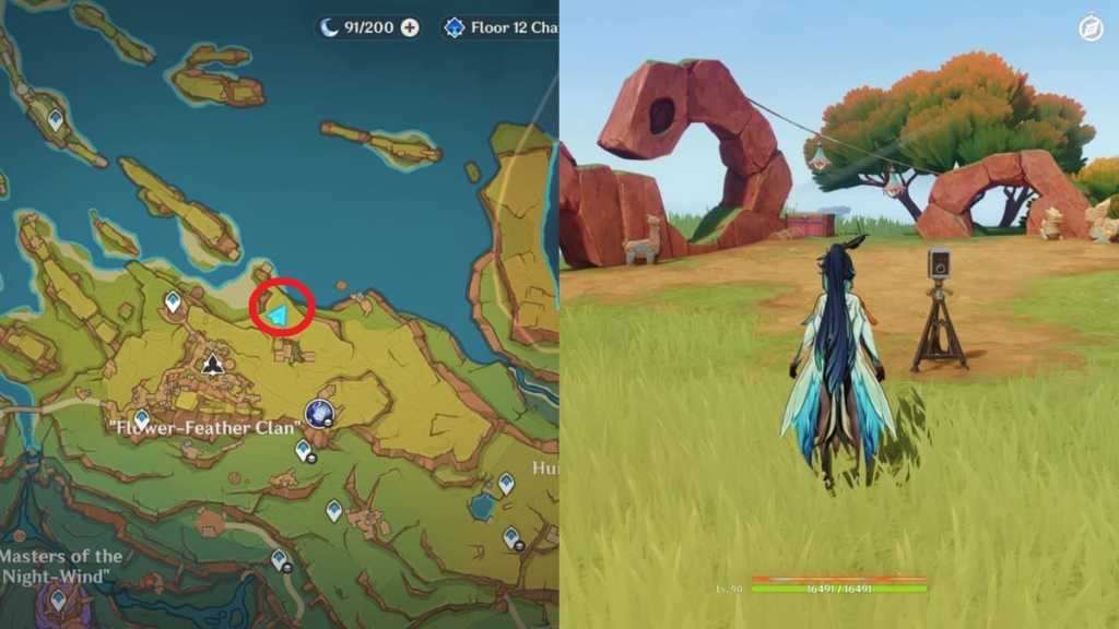 photo gameplay in flower-feather clan