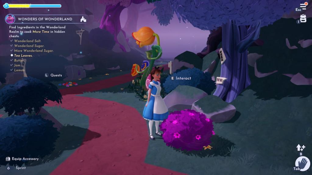 A purple flower bush with tea leaves hidden inside in DDV