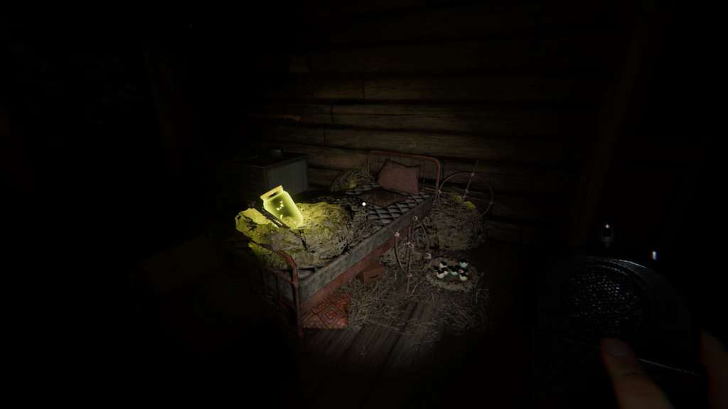 Upstairs bedroom forest minion nest at Grafton Farmhouse in Phasmophobia