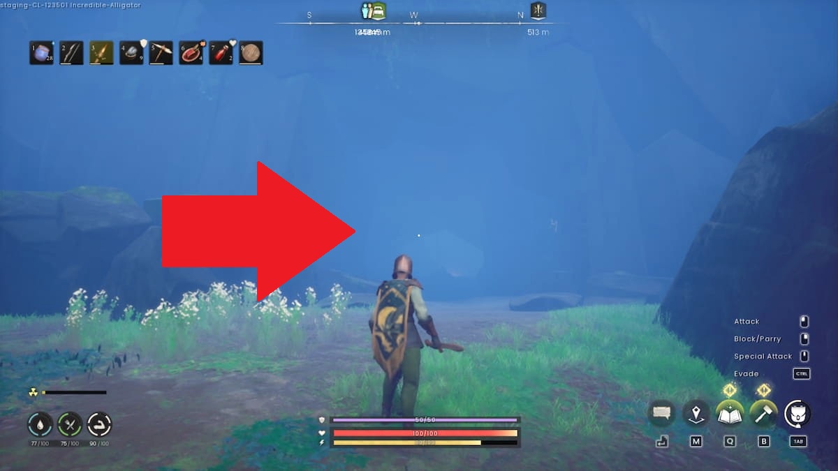 Cave entrance to Whispering Swamp