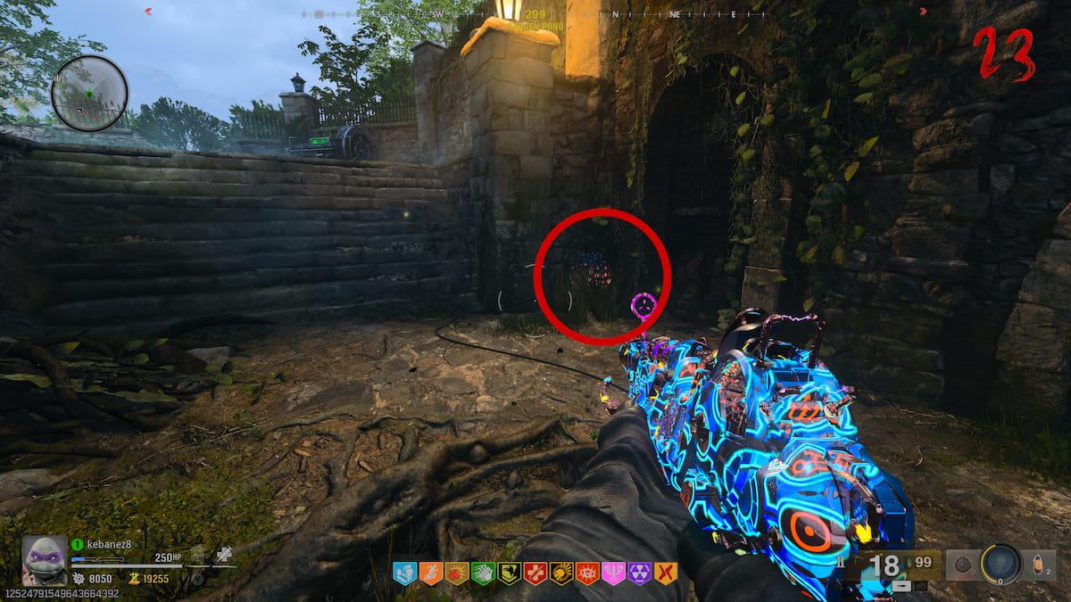 Plant at Garden Pond