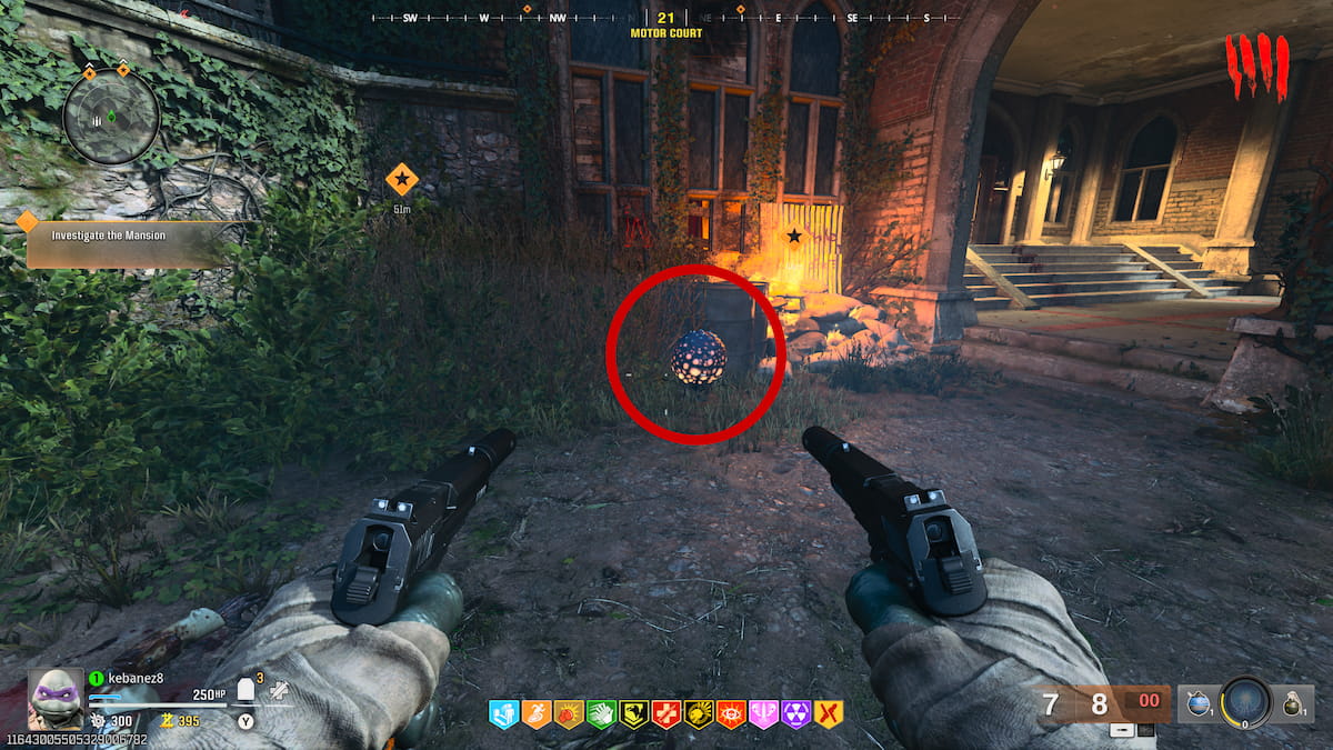 Plant near Shattered Veil entrance