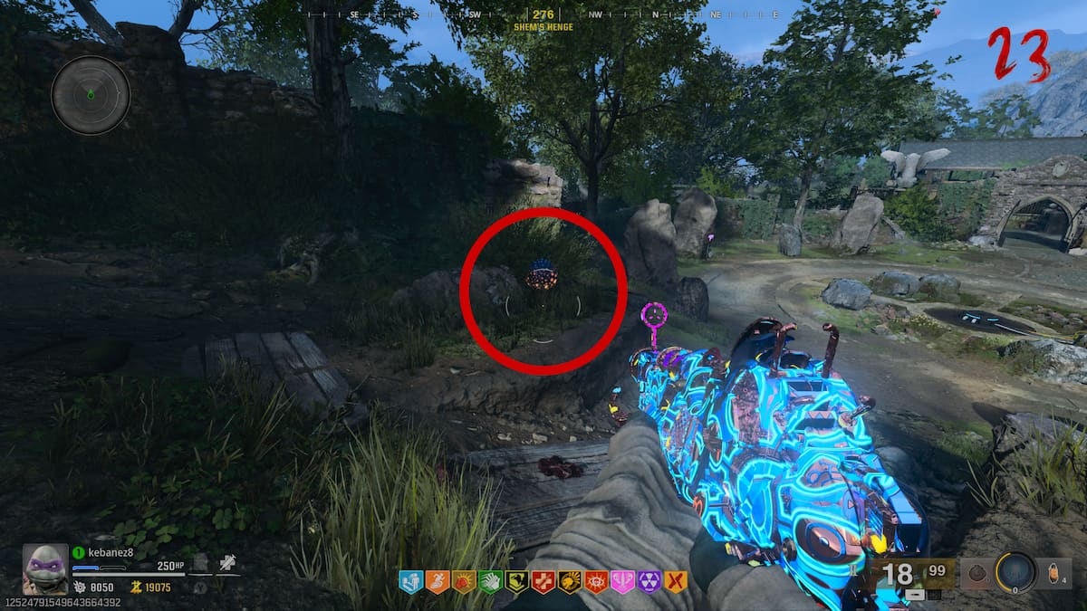 Plant at Shem's Hedge