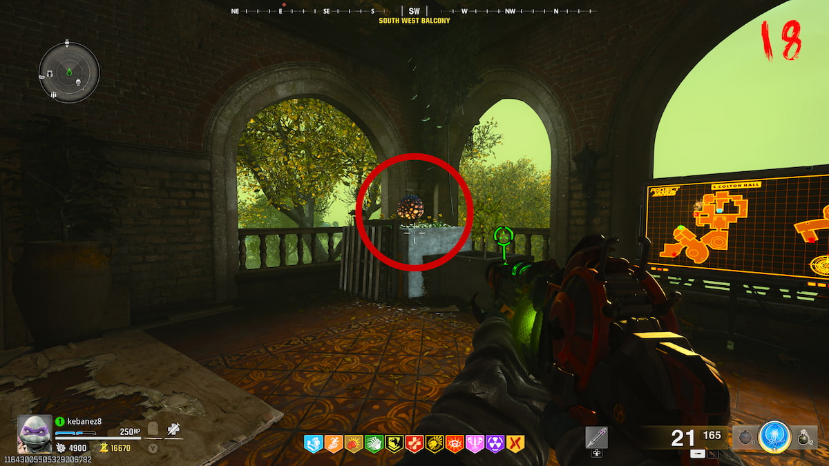 Plant at the South West Balcony