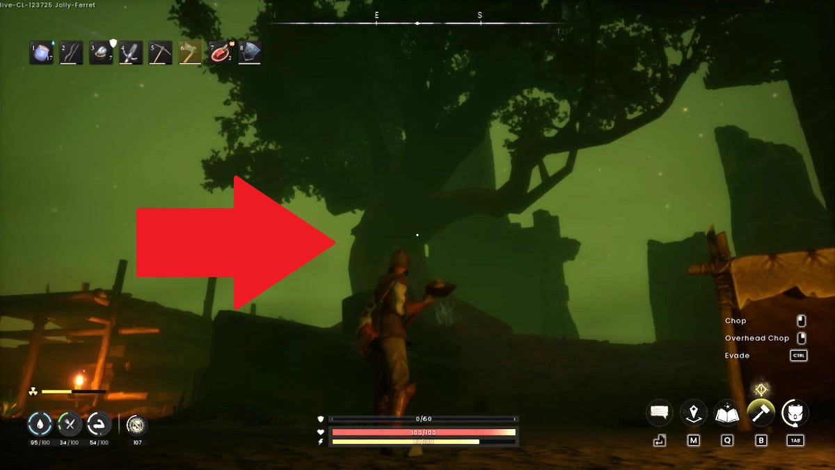 Big tree at Bloodblight Castle