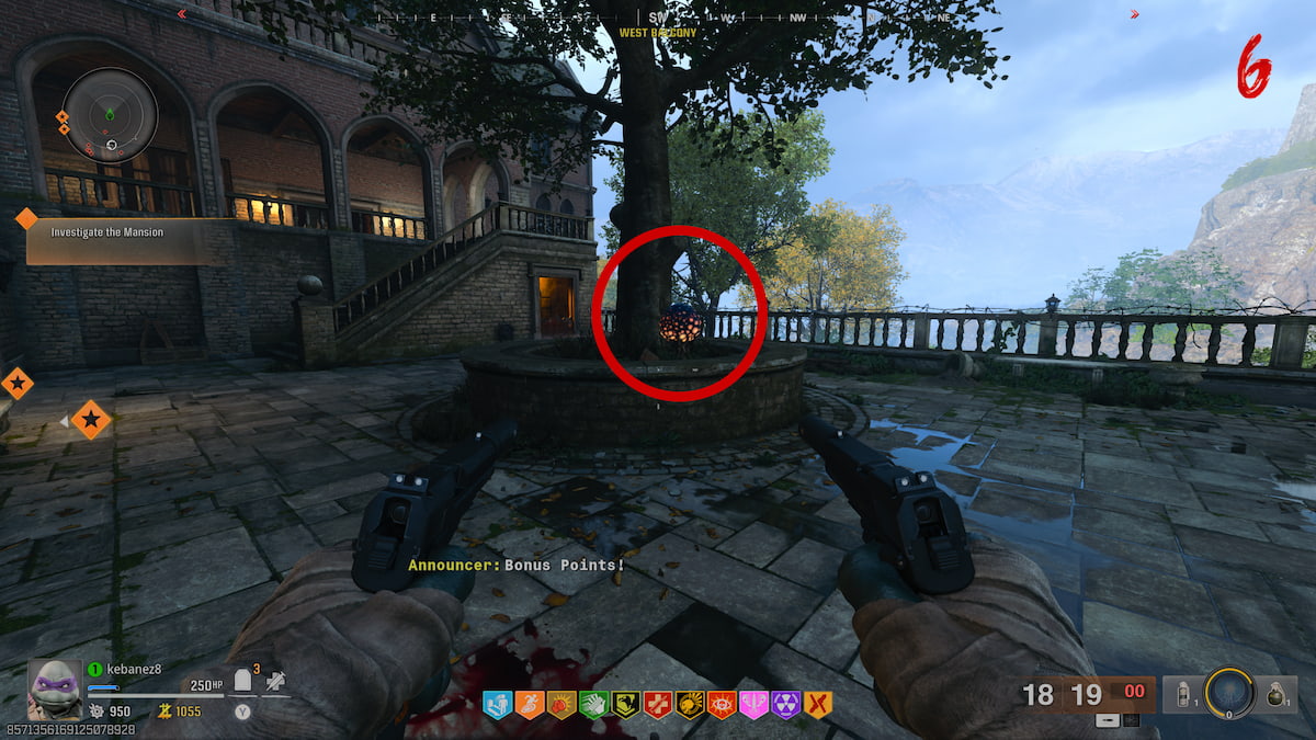 Plant near tree at West Balcony