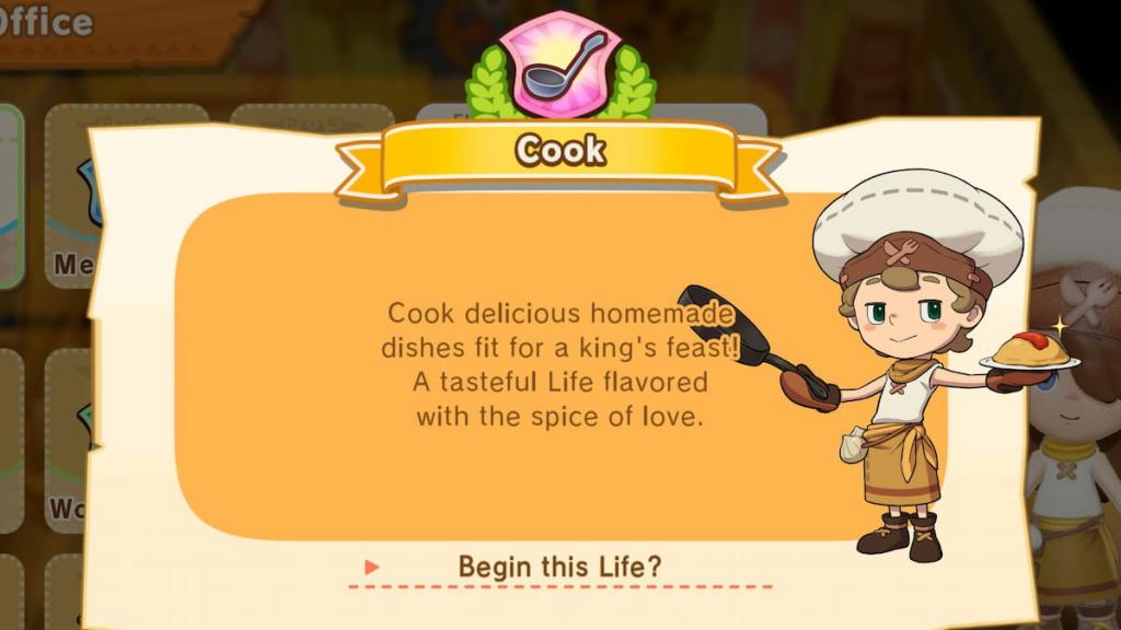 Fantasy Life i cook life