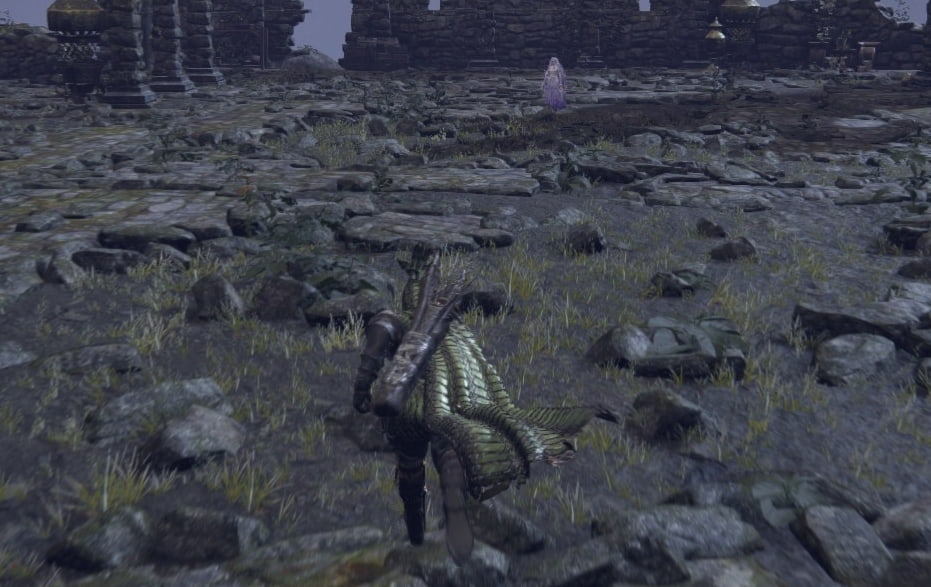 Revenant boss fight in Elden Ring Nightreign