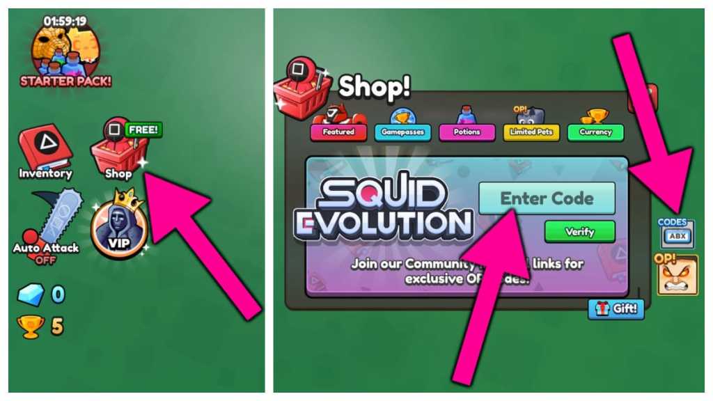 How to redeem Squid Evolution codes.