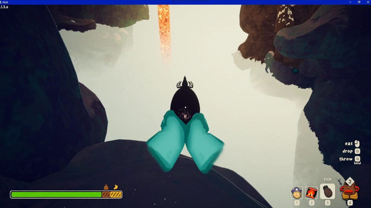 A removed Tick in Peak