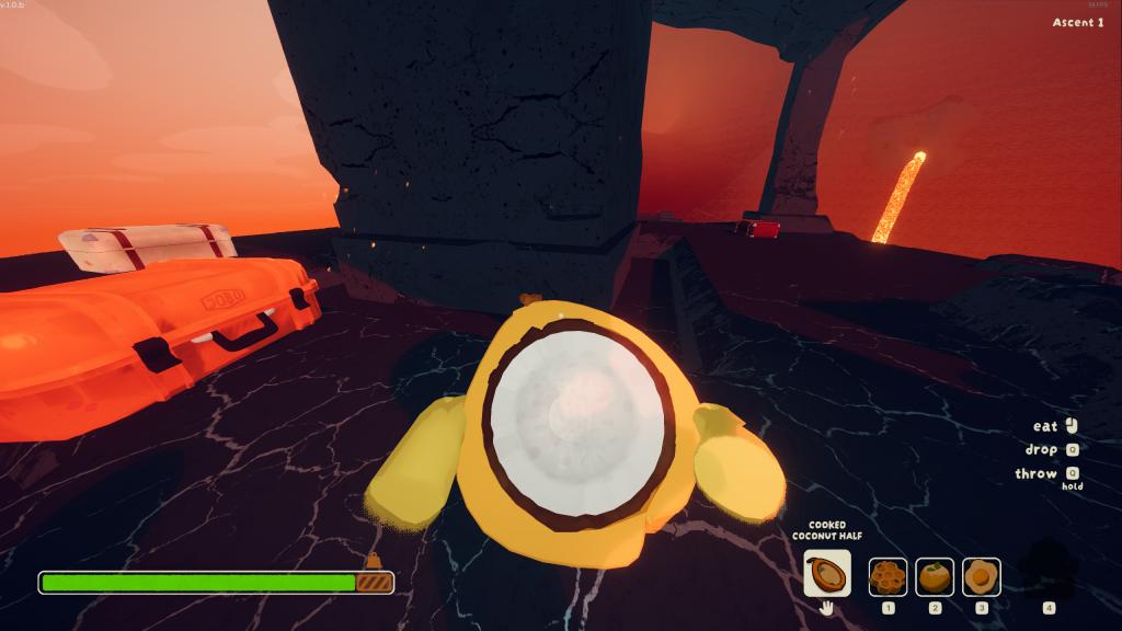 A cooked coconut half in PEAK