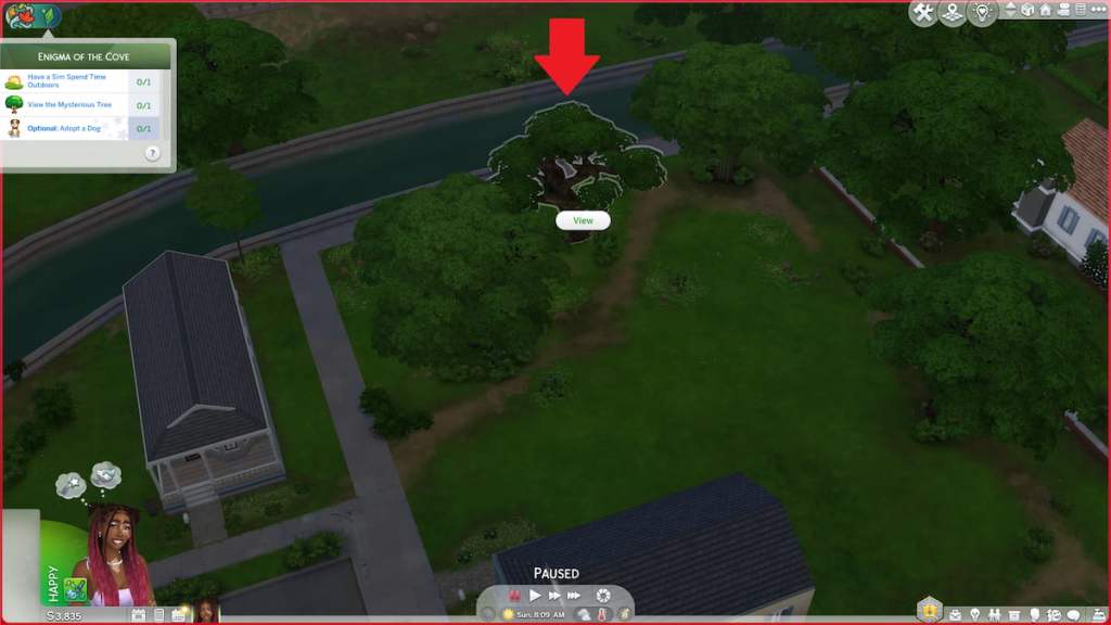 The mysterious tree marked in the sims 4