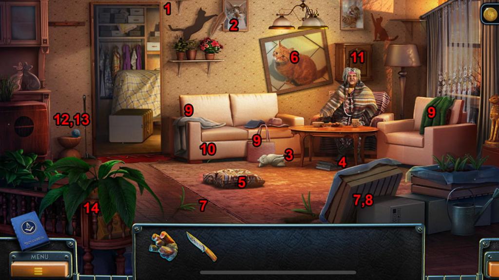 New York Mysteries 4  Old Lady's house items