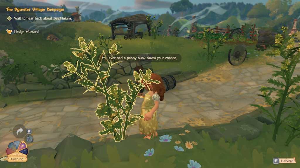 Foraging hedge mustard in tales of the shire