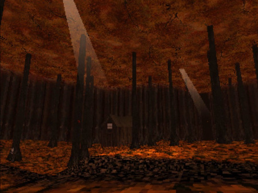 A cabin in the middle of the autumnal woods with light peeking through the dense branches above