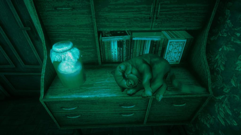 The sleeping cat next to kombucha, lying on the cabinet